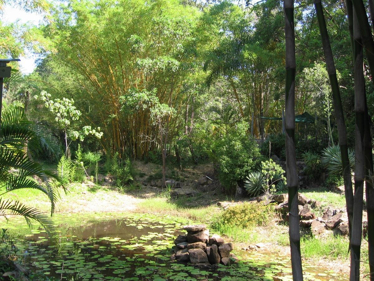 Noosa Edge Nudist Retreat Bed and Breakfast Doonan Εξωτερικό φωτογραφία